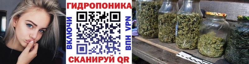 Каннабис SATIVA & INDICA  omg tor  Поворино  где продают наркотики 